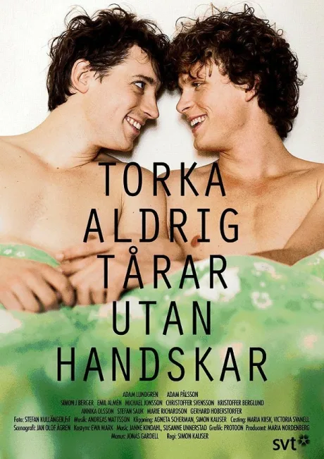 Никогда не вытирайте слезы без перчаток (сериал 2012)