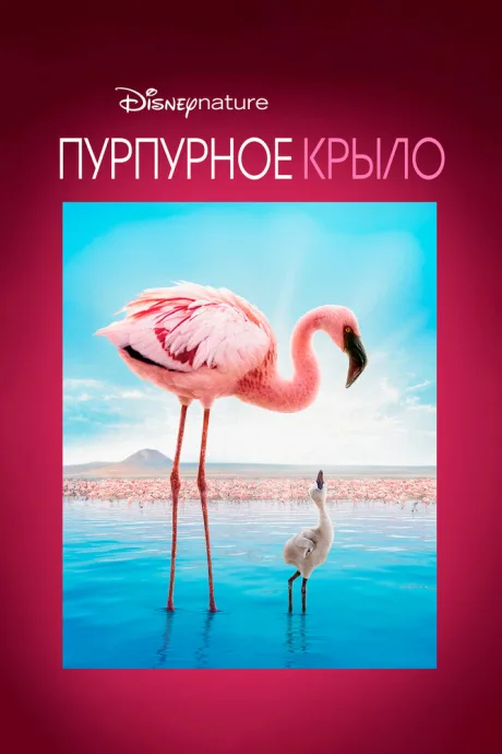 Пурпурное крыло (2008)