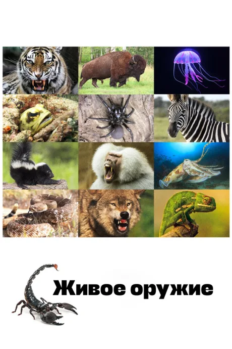 Живое оружие (сериал 2016)